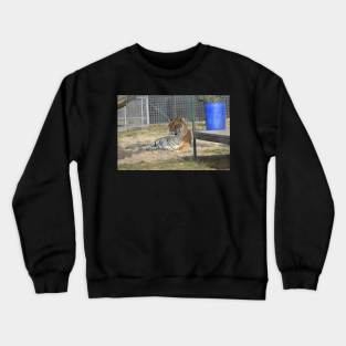 Tiger Crewneck Sweatshirt